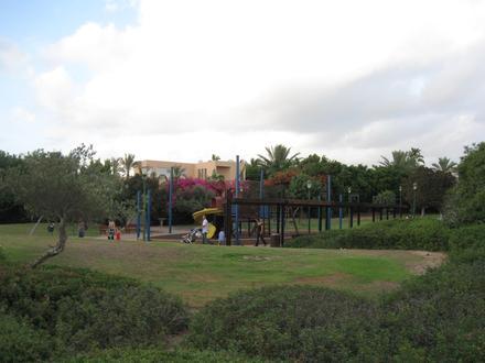 Cesarea (Israel) Image