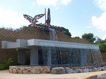 Caguas Image