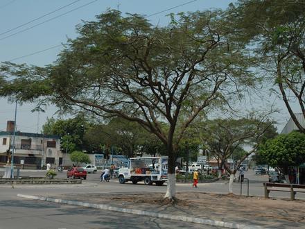 Libertador General San Martín Image
