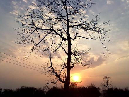Kālāigaon Image