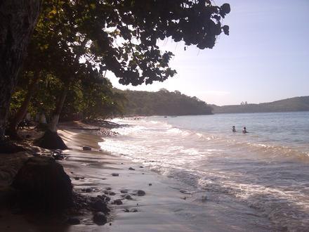 Guanta Image